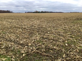 Property photo 15 - REAL ESTATE AUCTION - 336.6+/- ACRES OFFERED IN 10 TRACTS IN WHITLEY COUNTY, INDIANA